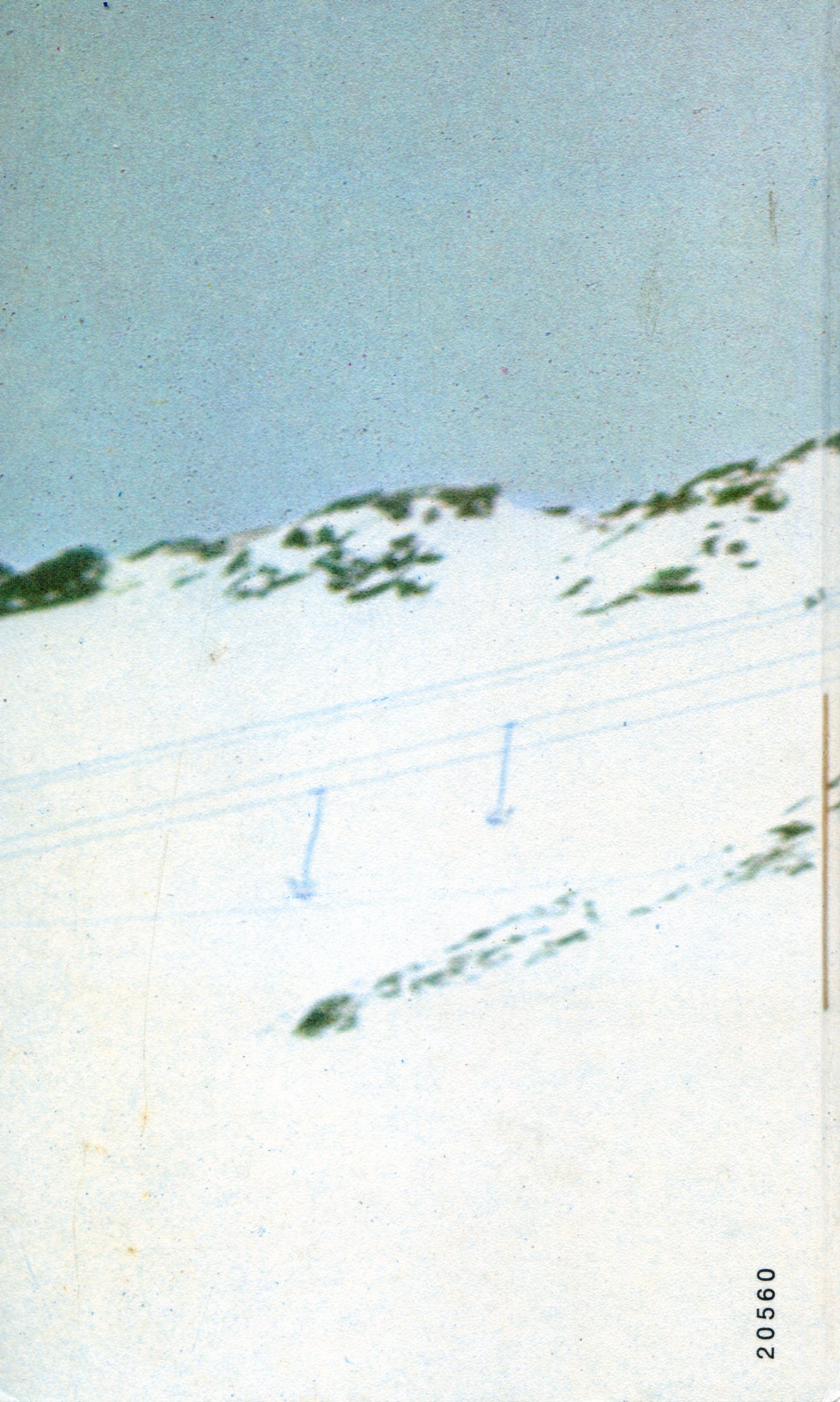 esquí, El : Como llegar a campeon - Miniatura 3